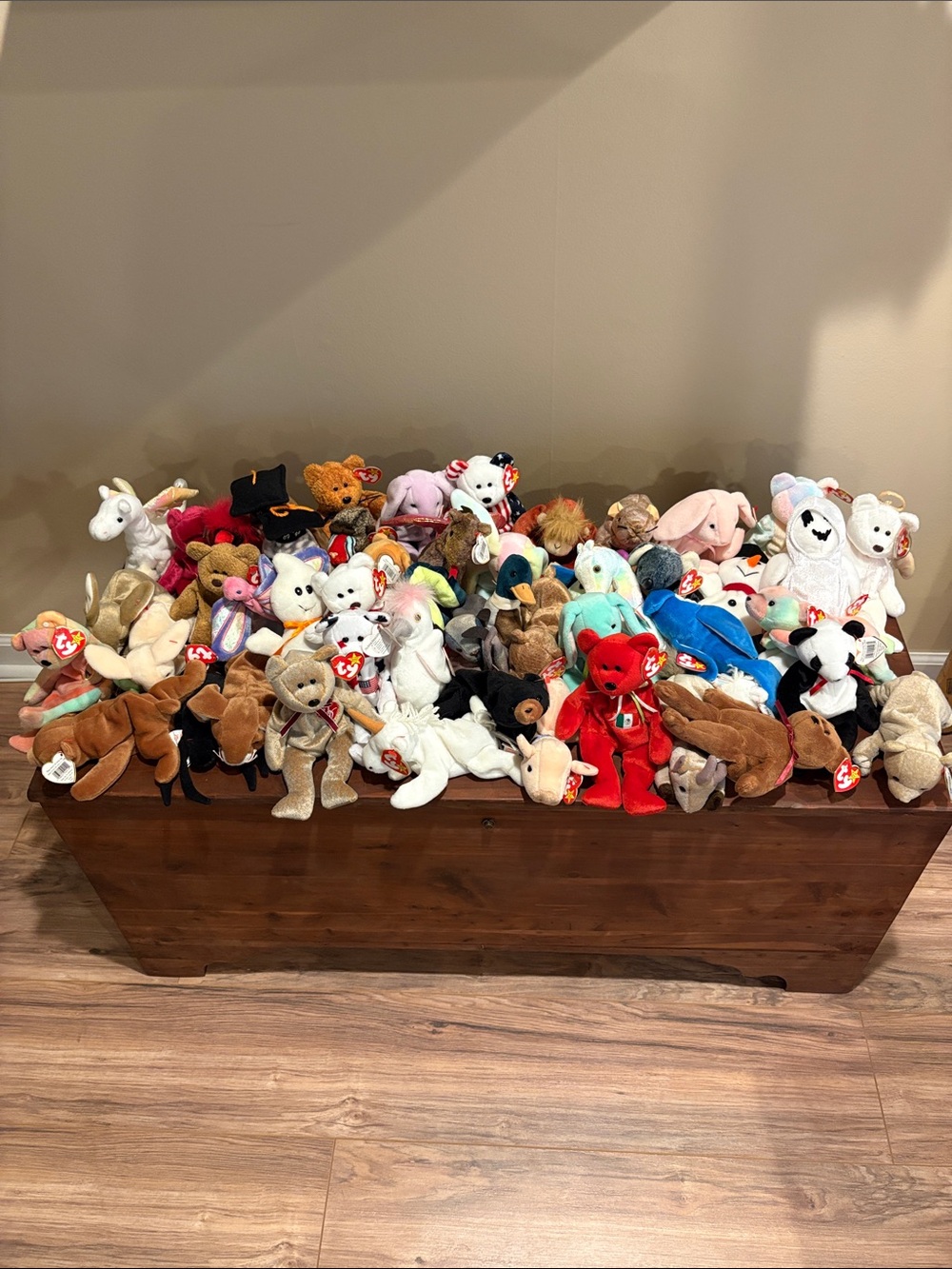 Ty Multicolor Beanie Plush Lot - Red, Blue, White, Brown, Pink & More